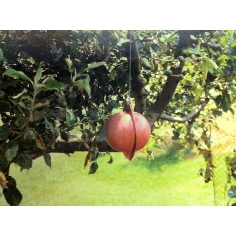 Disposable Apple Maggot Trap Kit 25 Apples, 25 Wire Holders,