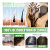 Shampoo Tinte Instantaneo Cubre Canas Extracto Plantas 500ml