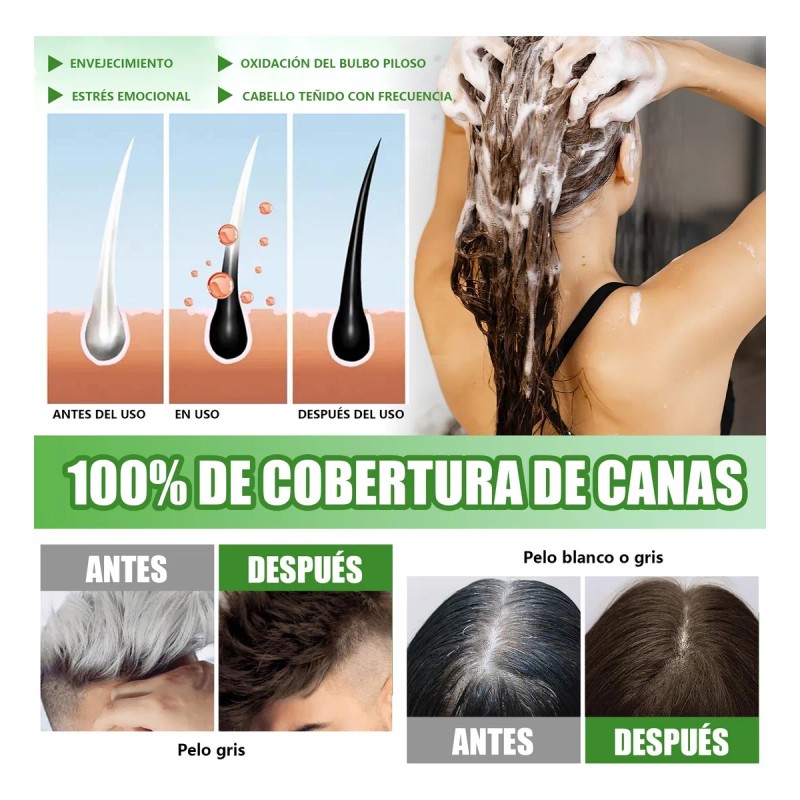 Shampoo Tinte Instantaneo Cubre Canas Extracto Plantas 500ml