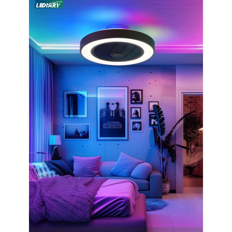 LEDIARY 20 Inch Low Profile Ceiling Fans With Lights, Led