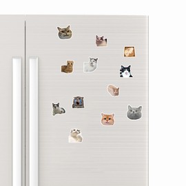 12Pcs Funny Cat Meme Fridge Magnets Cute Refrigerator Magnetic Stickers Decor Morale Humorous Housewarming Gift for Home Office Cabinets School Locker Whiteboard Dishwasher Thickened Strong Magnetic