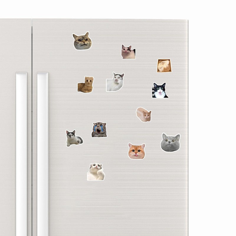 12Pcs Funny Cat Meme Fridge Magnets Cute Refrigerator Magnetic Stickers