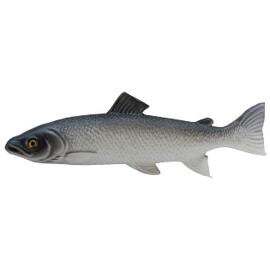 Klocke Dekorationsbedarf Lifelike Food Dummy - Artificial Sea Item - Food Dummy/Plastic Food - Decoration (Fish - 1 Piece - 25 cm)