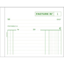 Exacompta - Ref 13274E - Commercial Invoice Form Pad (50 Pages) - 105 x 135mm in Size, Horizontal, Green Printed Rulings, Duplicate Carbonless Copy - French Printed