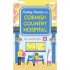 Finding Friends at the Cornish Country Hospital: A beautiful, uplifting