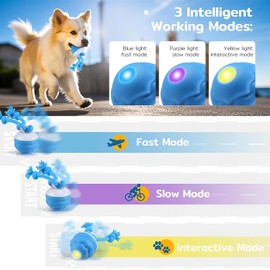 The Chase Buddy Dog Boredom Stimulating Toy 2025 Smart Pet Puppy Ball with Ropes Interactive Self Play Moving Dogs Balls Automatic Electric Active Rolling Ball Jumping Bouncing Dog Balls Gift (Blue)
