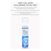Bidameun Mist Facial Coreano Antiarrugas, Hialuronico Y Colageno_1pz