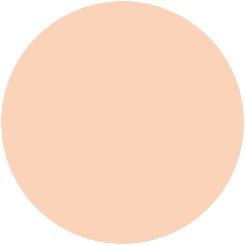 Ferm Moisturizing Glossy Skin Powder Foundation Replacement 02 Natural Skin