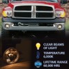 G-PLUS Fog Lights Compatible with 1994-2001 Dodge Ram 1500/94-02 Ram