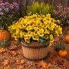 Daisy Artificial Flowers for Outdoors,Yellow Artificial Mums (6, yellow)