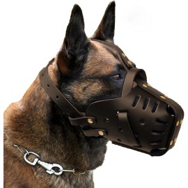 Us  Leather Dog Muzzle, Breathable Adjustable Anti-Bite Anti-Bark Cage Muzzle for Medium/Large DogsSize: S, Color: Brown