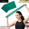 D&M Theraband TBE-3 Training Band, For Beginners, 3.3 ft (1