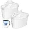 Tujoe 2 Pcs Alkaline Water Filter Replacement Alkaline Water Pitcher