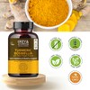 Turmeric Boswellia Extract 1000mg - Joint & Mobility Support Digestive