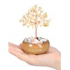 Jovivi Citrine Crystal Trees Gemstone Healing Crystals Money Tree Bonsai