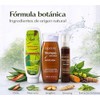 GOOSE Kit Anticaída Botánico – Shampoo + Gel Capilar +