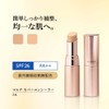 AYAKA Multi Cover, Concealer 2, Natural, Ochre