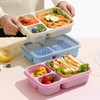 4 Pack Bento Box Lunch Boxes, BPA-Free Reusable Snack Box