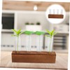 KONTONTY 1set Glass Bud Vases Stand for Hydroponic Plant Propagation