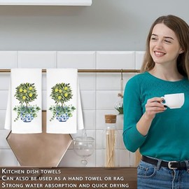 Funny Lemon Tree Chinoiserie Decor Kitchen Towels, Lemon Dish Towels, Blue and White Porcelain Kitchen Towels Decor,Floral Kitchen Towels, Watercolor Green Topiary Trees Bathroom Kitchen Decor,