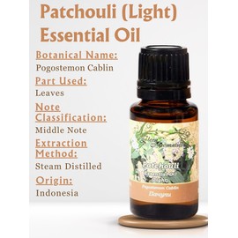 Patchouli (Light) Essential Oil (Pogostemon Cablin) | 100% Pure Therapeutic Grade (Undiluted Natural) | 0.5 Fl Oz/15 Ml