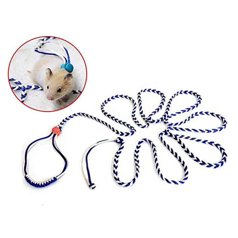 Zittop 1PC Small Animal Leash Lead Harness Rope Hamster Rat