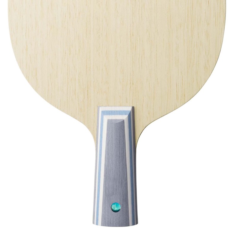 Butterfly Table Tennis Racket Viscaria CS Chinese Style Penhold Attack