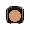 Palladio Dual Wet and Dry Foundation with sponge and Mirror,