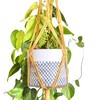 Piglet&Chestnut DIY Plant Hanger Kit, Macrame Beginner Kit, DIY Craft