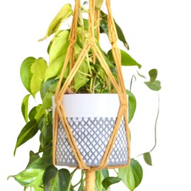 Piglet&Chestnut DIY Plant Hanger Kit, Macrame Beginner Kit, DIY Craft Kit Learn to Macrame UK Made, Mustard
