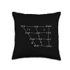 IPA International Phonetic Alphabet Vowel Chart Throw Pillow