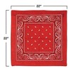 Red Bandana Party Accessory (1 count)