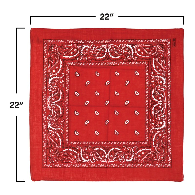 Red Bandana Party Accessory (1 count)