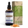 Secrets of the Tribe Frankincense Tincture USDA Organic Alcohol-Free Extract,