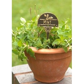 Cast Brass Mint Herb Label
