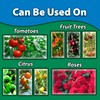 Monterey Lawn & Garden Take Down Garden Liquid Insecticide and