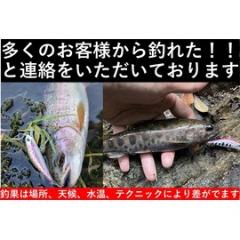 Night Army Fishing Lure, 0.1 oz (3.5 g), Trout Minnow, 5 Colors, Sinking Type, Stream Minnow (3.5 Trout Color)