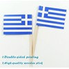 JBCD Greek Toothpick Flag Greece Mini Small Cupcake Topper Flags,