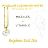 Garnier, SkinActive Micellar Vitamin-C Cleansing Water, 3.4 Fl Oz