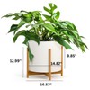 Fox & Fern Mid Century Modern Plant Stand - Raised