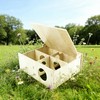 Amonk 10x8x4in Multi-Chamber with Play Tunnel Hamster House for Small