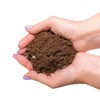 Gardenera's Expert Kumquat Soil Mix - 2 QT - Quick