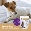 Doppelherz Relax Complex for Dogs - With Alpha Casozepine, L-Tryptophan
