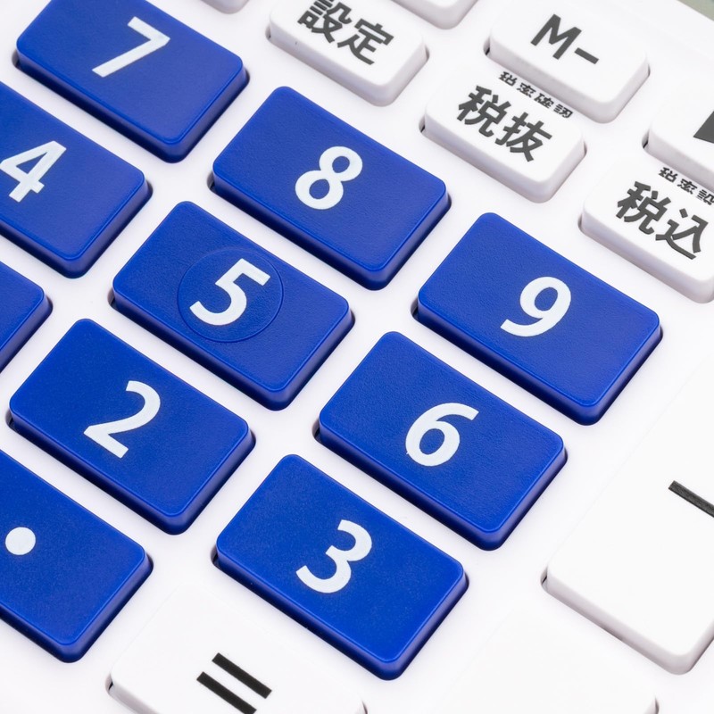 Hodogaya Electronics Sales 85191 Calculator, 12 Digit Practical Calculator, Fast