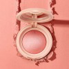 Phofay Rubor Maquillaje Rostro Blush Polvo Color Varios 3g