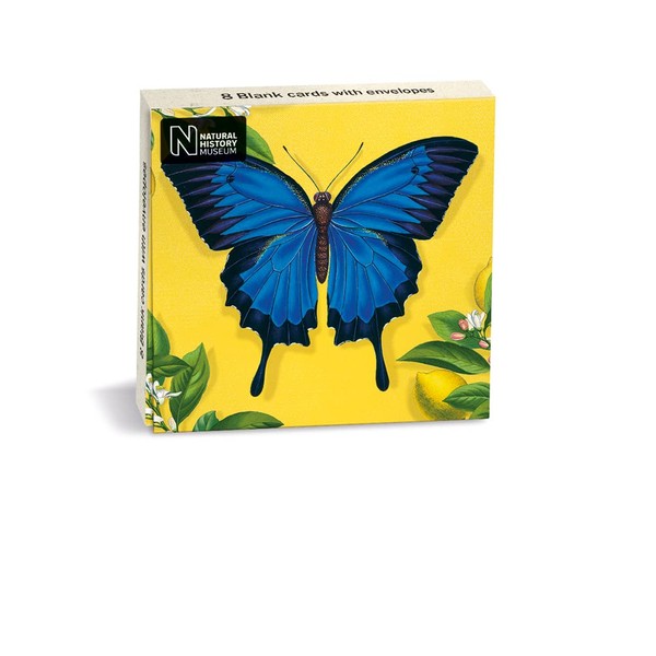 Natural History Museum Ulysses Butterfly 8 Mini Notecards Wallet