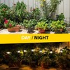 ZONETECH Outdoor Solar Powered Light – LED Twenty-Four Pack Bright