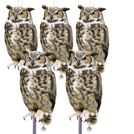Kungfu Mall 5PCS Plastic Owl to Scare Woodpecker for House Tree Fake Owl to Keep Pigeon Squirrel Away from Balcony Outdoor Flat Garden Owl with Reflective Tape for Yard Window Patio Porch