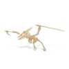 Puzzled Pteranodon 3D Woodcraft Jigsaw Construction Puzzle Kit - Wooden
