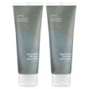Isntree Mugwort Calming Clay Mask 100ml, 1 pack, 2 packs / 이즈앤트리 머그워트 카밍 클레이 마스크 100ml, 1개입, 2개